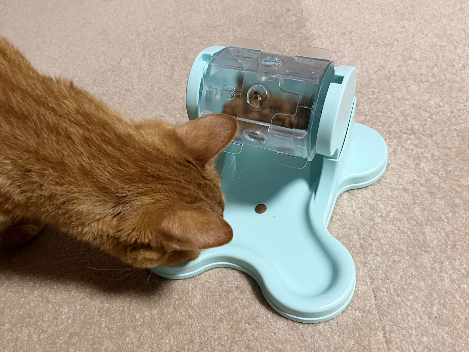 猫のガラポン式おもちゃ『でるでる自飯器』を試してみた！【レビュー】